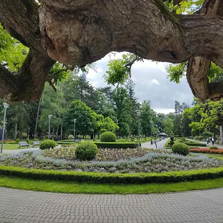 Jeca Vrnjačka Banja