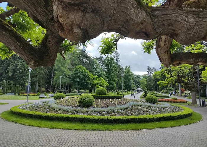 Jeca Vrnjačka Banja